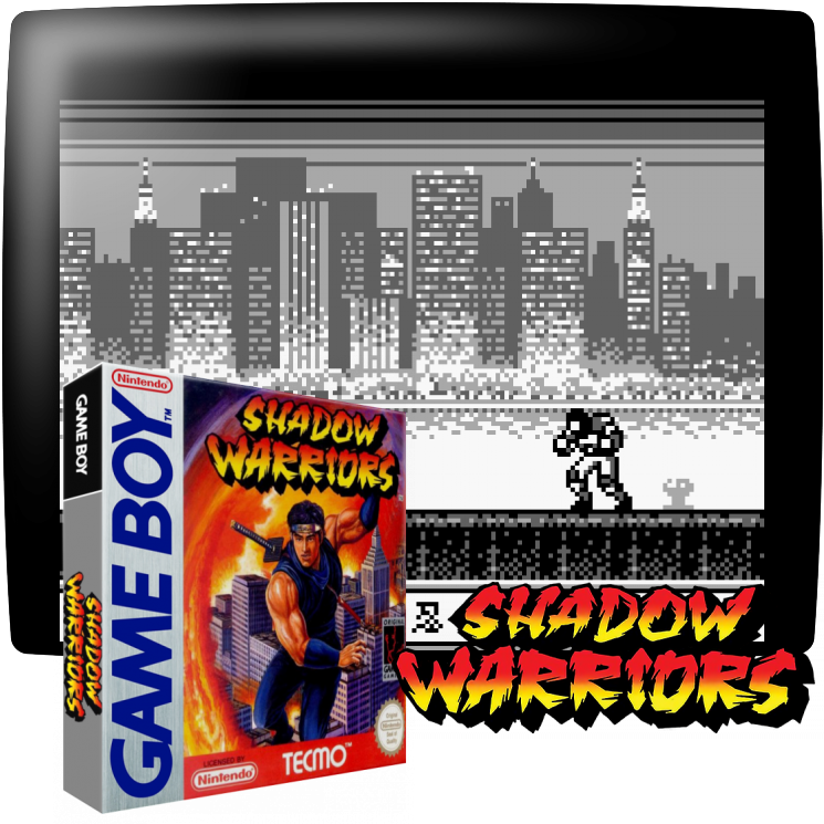 Ninja Gaiden Shadow